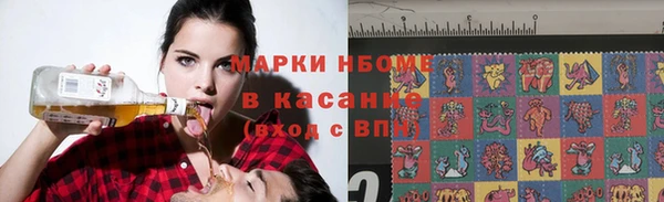 ГАЛЛЮЦИНОГЕННЫЕ ГРИБЫ Вяземский