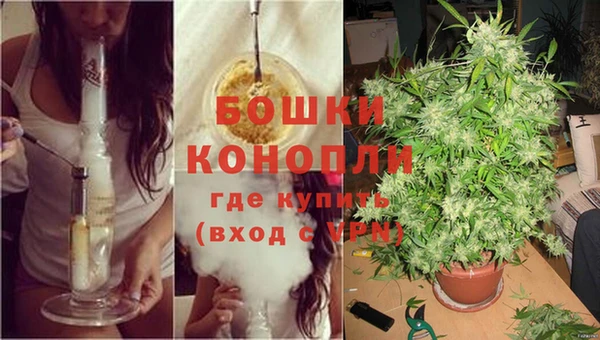 индика Вязники