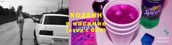 индика Вязники