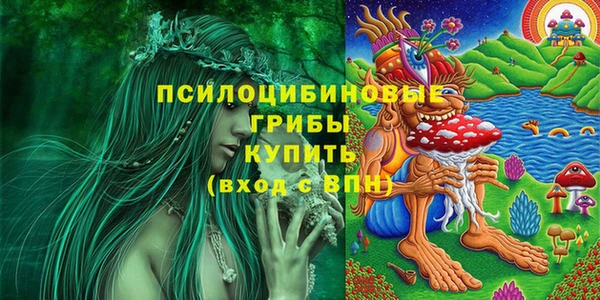 ГАЛЛЮЦИНОГЕННЫЕ ГРИБЫ Вяземский