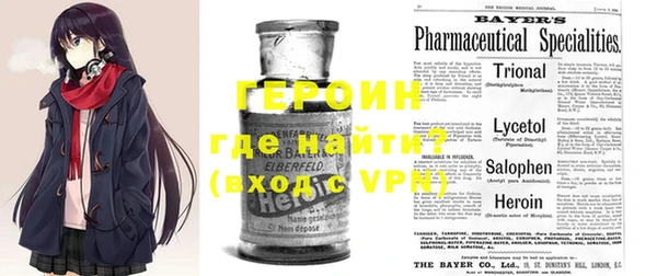 ГАЛЛЮЦИНОГЕННЫЕ ГРИБЫ Вяземский